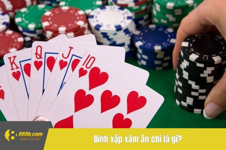 Binh xập xám ăn chi là gì?