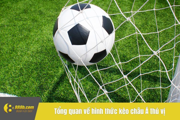 Tổng quan về hình thức kèo châu Á thú vị