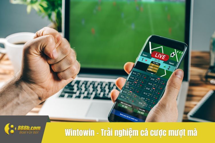 Wintowin – Trải nghiệm cá cược mượt mà